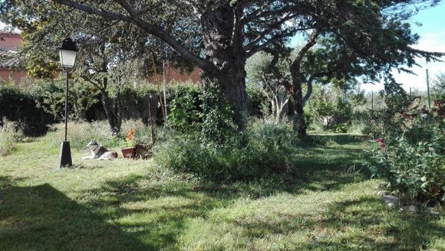 La pelouse écologique, quelles techniques adopter.